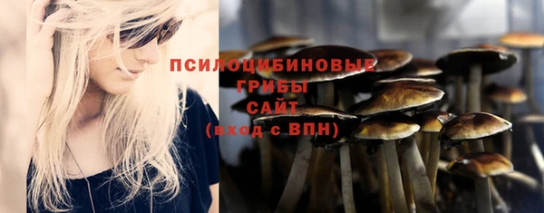 бошки Алзамай