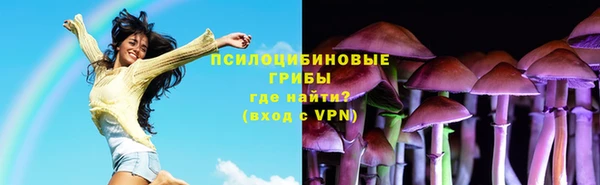 молекула духа Абинск